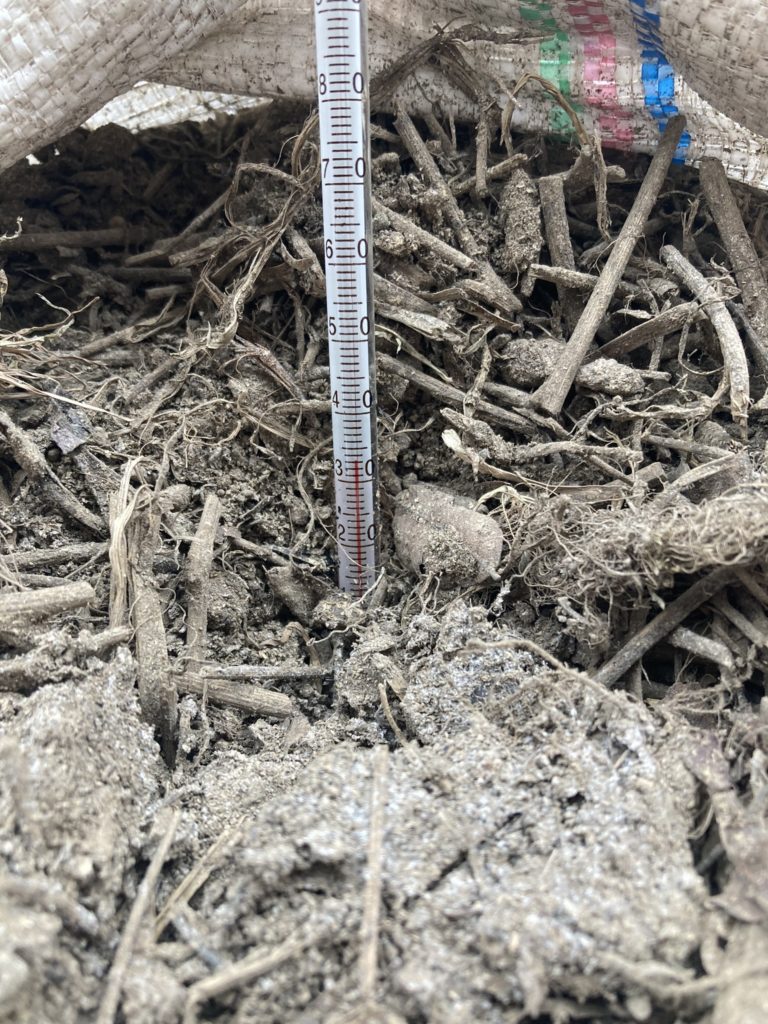 雑草堆肥　33℃