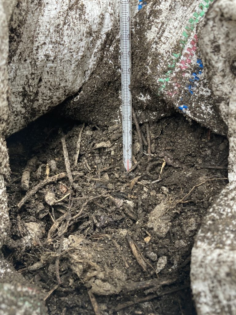 雑草堆肥　22℃