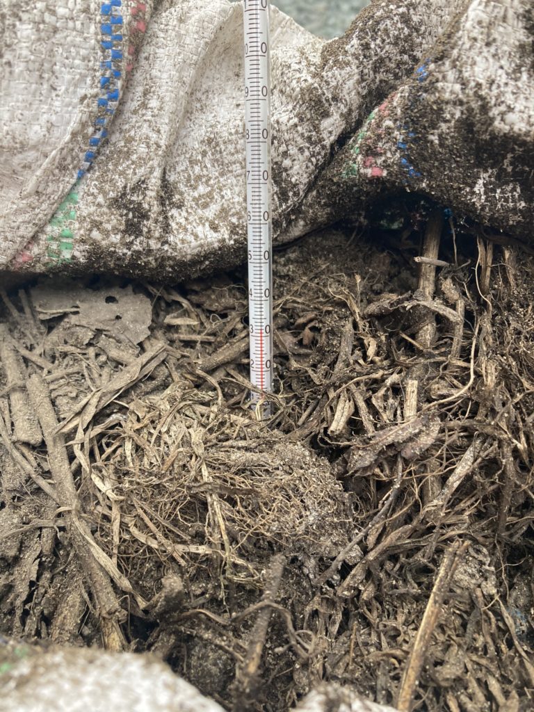 雑草堆肥　32℃