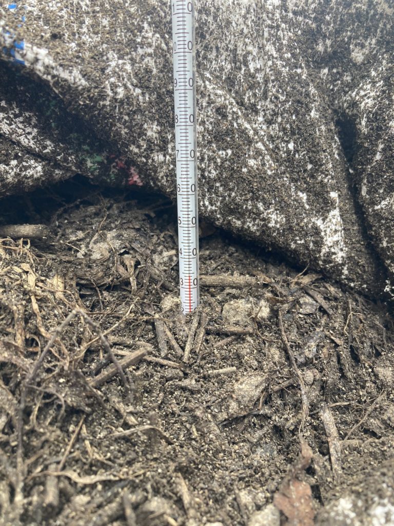 雑草堆肥　34℃